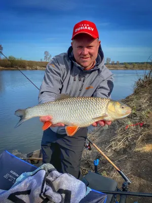 Рыбалка на реке Дон и его краснокнижные обитатели | fishcom.online