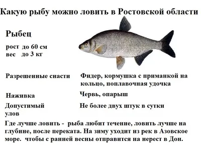 ТОП-10 рек Пермского края для рыбалки — Наш Урал и весь мир
