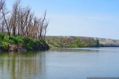 Рыбалка на реке Дон в апреле 2023. Ловля на фидер весной! - YouTube