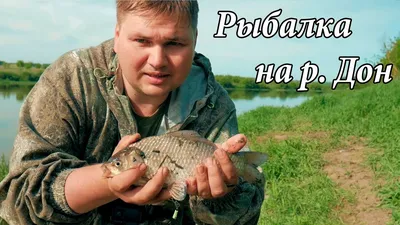 Нездешняя рыба: как инвазивные виды захватывают российские водоемы | Вокруг  Света