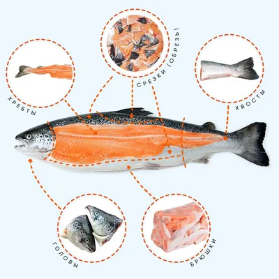 Вяленая корюшка икряная - Fishop - магазин рыбы и морепродуктов