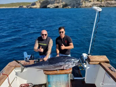 Рыбалка в Турции, Аланья, Махмутлар – Отдых с изюминкой
