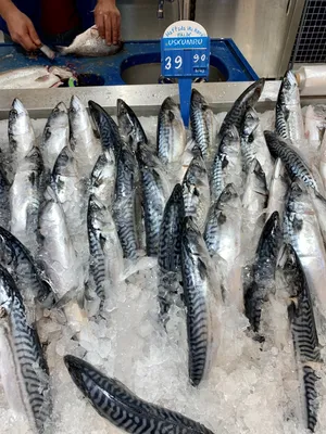 Рыба в Турции