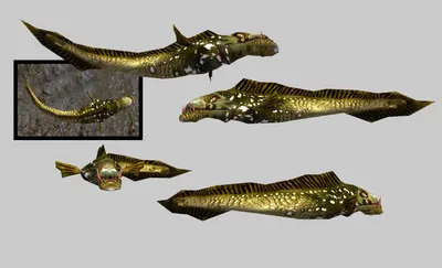 Бестиарий Коннари - Рыбы-убийцы - Elder Scrolls 3: Morrowind