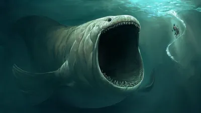 Oceana в X: „You won't believe how the goblin #shark attacks its prey  https://t.co/Ejn8ssZDNa https://t.co/2DNfztUY44“ / X