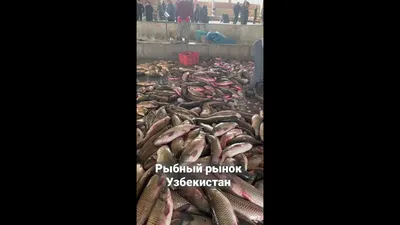 Морепродукты и рыбные изделия от Fish House в Ташкенте