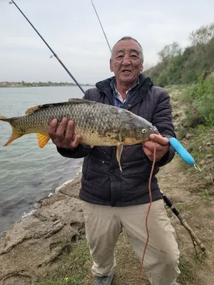 Рыбоводство в Узбекистане: выращивание рыбы и современные методы отрасли -  AGRO.UZ