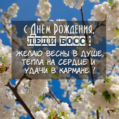 Шарики на день рождения руководителя Big Boss - купить по выгодной цене |  Шарики 911 — шарики с гелием