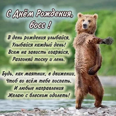 Кружка \"Надежда. С днем рождения. BOSS\", 330 мл - купить по доступным ценам  в интернет-магазине OZON (1142592803)