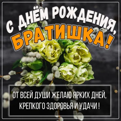 сднемрождения #сднемрождениябрат #праздник #видеопоздравление #видеоо... |  TikTok