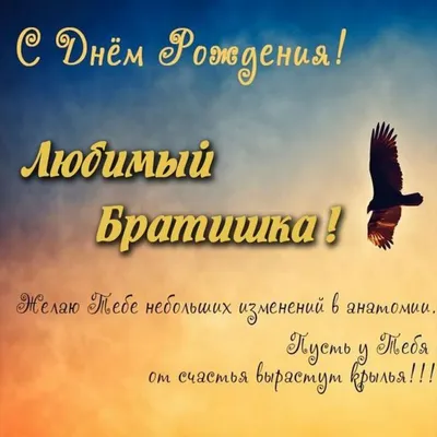 Открытка младшему Брату с Днём рождения, с юмором • Аудио от Путина,  голосовые, музыкальные