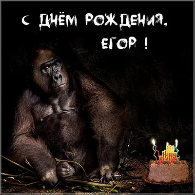 С днем рождения, Егор (wowan)! — Вопрос №674325 на форуме — Бухонлайн