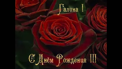 ГАЛИНА, С ДНЕМ РОЖДЕНИЯ! - С днем рождения! - Праздничная анимация -  Анимация - SuperGif