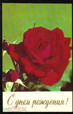 Конверт для денег \"С днем рождения (розы)\" — магазин подарков Макс-ГИФТ