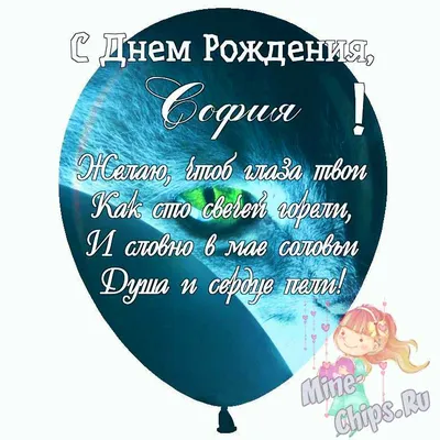Именной Воздушный шар Bubble 60 см с надписью \"С Днём Рождения, София!\" и  перьями - купить в интернет-магазине OZON с доставкой по России (846697525)