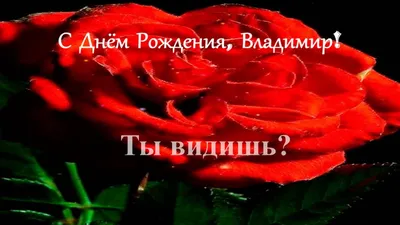 Мем: \"ВОВА С ДНЕМ РОЖДЕНИЯ! БУДЬ СЧАСТЛИВ УДАЧИ ,ВЕЗЕНИЯ ,ДОБРА .\" - Все  шаблоны - Meme-arsenal.com