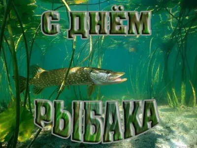 День рыбака в Украине: красивые открытки, поздравления и стихи - Главком