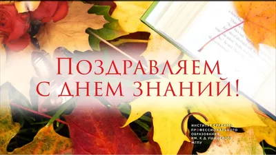 С Днём Знаний! | Робин Сдобин продажа продуктов общественного питания