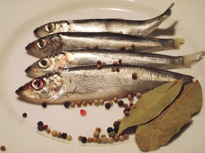 Добра риба - Салака пряного посола (5 кг)