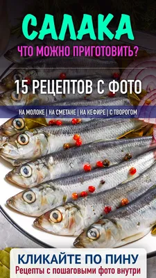 Рецепты салатов из морепродуктов и рыбы — цена 20 грн в каталоге Кулинарные  ✓ Купить товары для спорта по доступной цене на Шафе | Украина #113242292