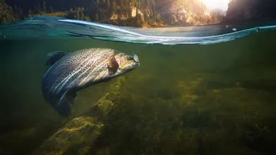 Засуха в Чуйской долине. Аномальная жара, нехватка воды и экоцид.  ФОТОРЕПОРТАЖ. » ЭкоМиР - Экологический Мониторинг и Расследования