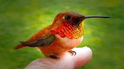 Самая маленькая птица в мире …» — создано в Шедевруме