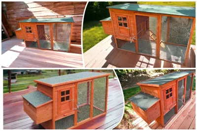 Ready-made Chicken Coops with Nesting Boxes and Runs | Chicken coop  designs, Diy chicken coop, Chicken coop blueprints