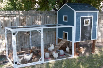 You Need These DIY Chicken Coops in Your Backyard | Планы курятника,  Курятники, Кооперативы