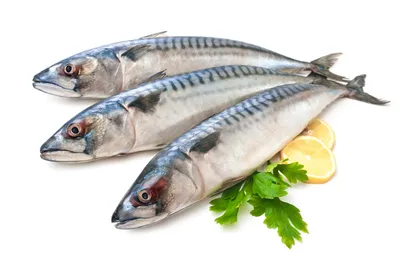 MaarduKala Oü - Саворин занимает прочные позиции среди самых вкусных  морских рыб благодаря своему нежному мясу с бесподобным ароматом. Но и без  того ценное мясо этой рыбы после обработки копчением становится поистине