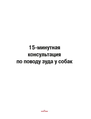 Фото себаденита у собак с возможностью выбора размера изображения