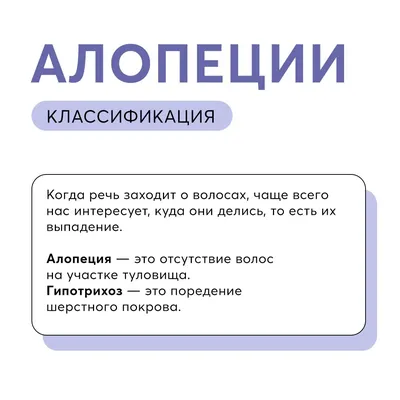 Изображения себаденита у собак для скачивания в хорошем качестве