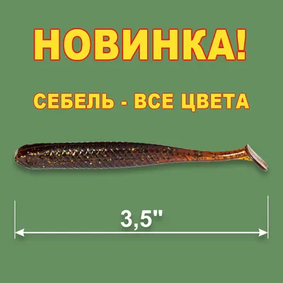 РЫБА ВЯЛЕНАЯ (СУХАЯ) ДОНСКАЯ🐟 on Instagram: \"Себель 😋👍 ‼️НОВИНКА 💣‼️  Рыбка не крупная 10-12см, но её вкус неповторимый, ЖИРНАЯ, НЕЖНАЯ😋! Когда  Вы попробуете, то невозможно остановится, она как \"семечки\", её хочется  снова