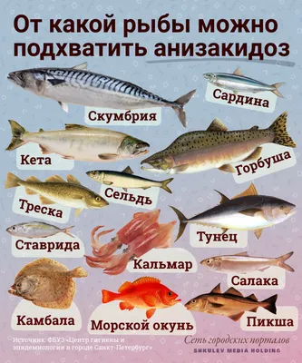 Белая рыба: виды и названия - Frost-Fish