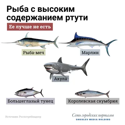 Какую рыбу ловят в Норвегии? - Интернет-магазин товаров для морской рыбалки  Sea Fishing.PRO