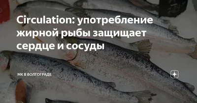 Надкласс рыбы, подготовка к ЕГЭ по биологии