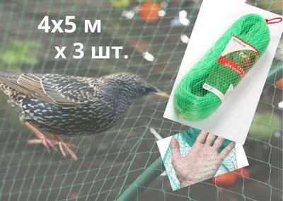 Сетка защитная от птиц 4*6 м, мелкая ячейка купить в Минске, низкая цена,  рассрочка