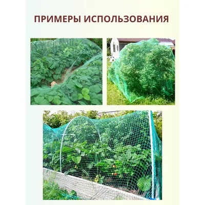 Защитная сетка от птиц «Против всех» 2х5м - купить в Украине с доставкой