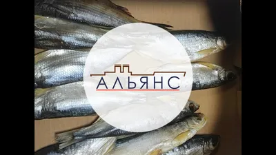 Знаменитый ростовский рынок. Показываю цены на рыбную продукцию. Рыба  дороже мяса | Тарелка | Дзен