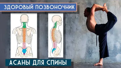 Физическое здоровье организма | Медцентр DoctorRu