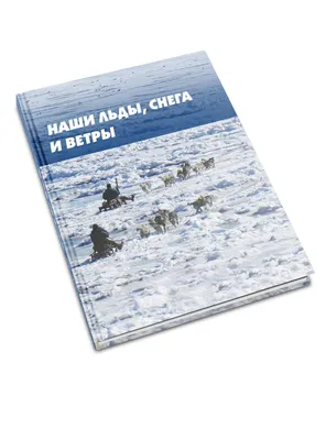 Личный опыт: как зарабатывать на сборе дикоросов | Тинькофф Журнал | Дзен