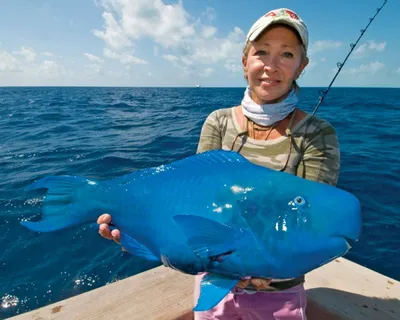 Синяя рыба. Как называется ?