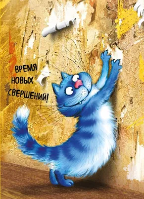 Цвет настроения синий: знаменитые коты Ирины Зенюк родились на скучных  лекциях в институте | Рисую в 50 | Дзен
