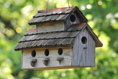 Дом для птиц. Идеи оригинальных скворечников | Дачные советы от  PartPrice.ru | Дзен