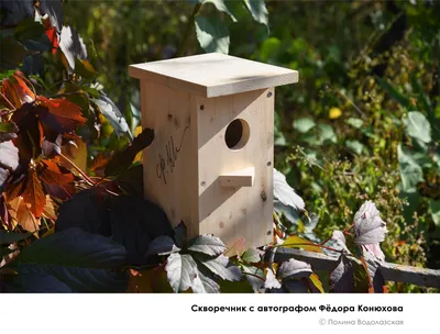 Скворечник для птиц, 40 × 19 × 19 см Greengo 06543809: купить за 1530 руб в  интернет магазине с бесплатной доставкой