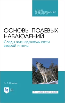 Различные Следы Птиц И Животных Векторные Монохромные Картинки На Белом  Фоне — стоковая векторная графика и другие изображения на тему След - iStock