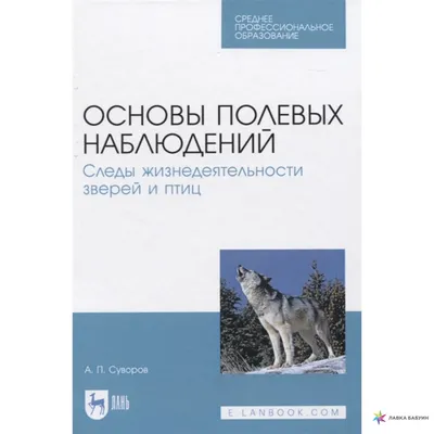 Следы; купить \"Следы. Жизнь зверей и птиц в картинках и небольших рассказах\"