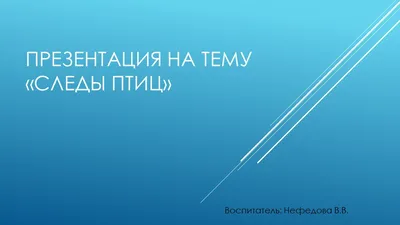 Природа Байкала | Следы птицы