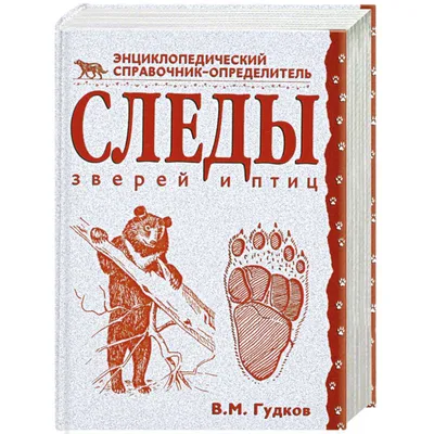 Следы животных и птиц на снегу – схемы с названиями | Кряква, Следы  животных, Хорьки