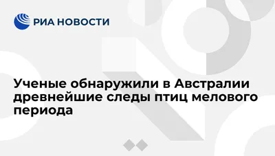 Птицы на деревьях и следы на снегу | ЭкКоза. О природе | Дзен