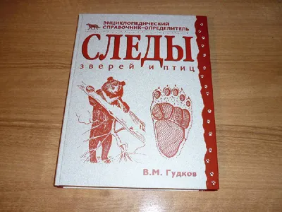 Следы зверей и птиц. Энциклопедический справочник-определитель — купить  книги на русском языке в Польше на Booksrus.pl